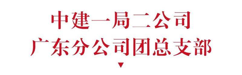 祝贺！团市委授予一批优秀团组织“战疫专项”荣誉称号(图14)