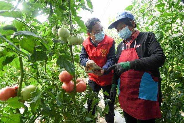 一件事坚持三十年！这位盐城人获国家级荣誉，全省唯一(图2)