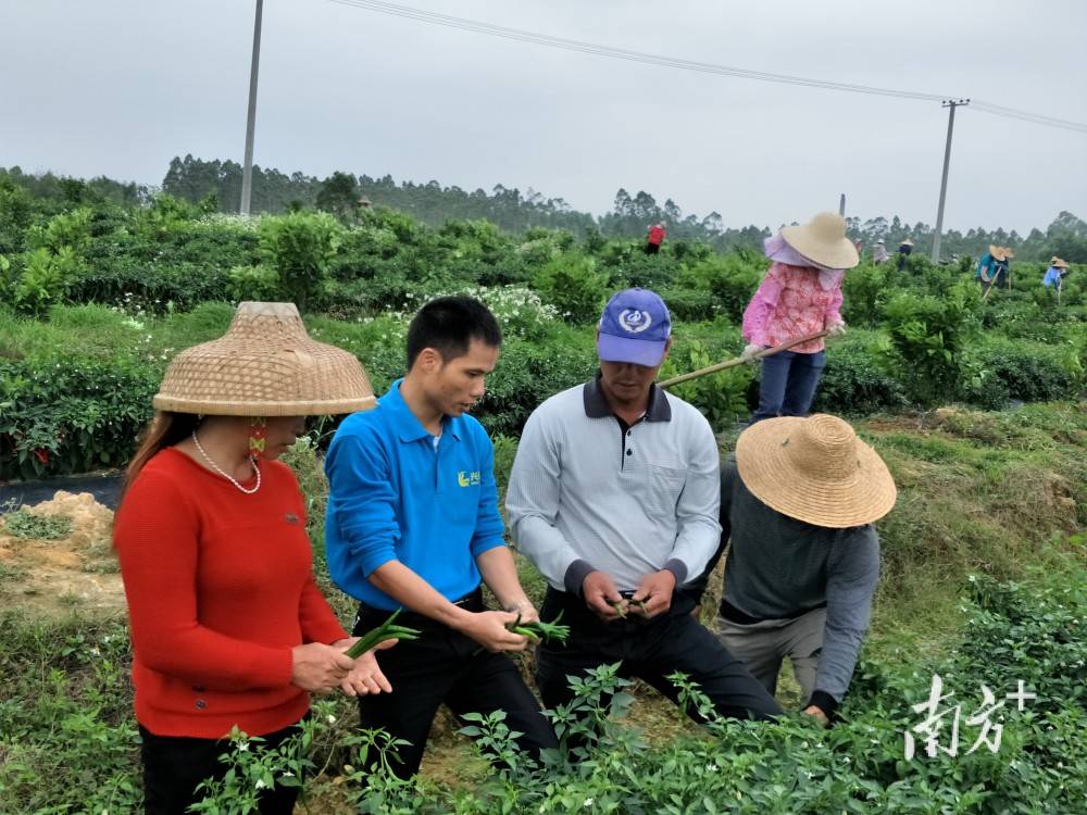 这位廉江“全国劳动模范”再获“国家级”荣誉(图1)